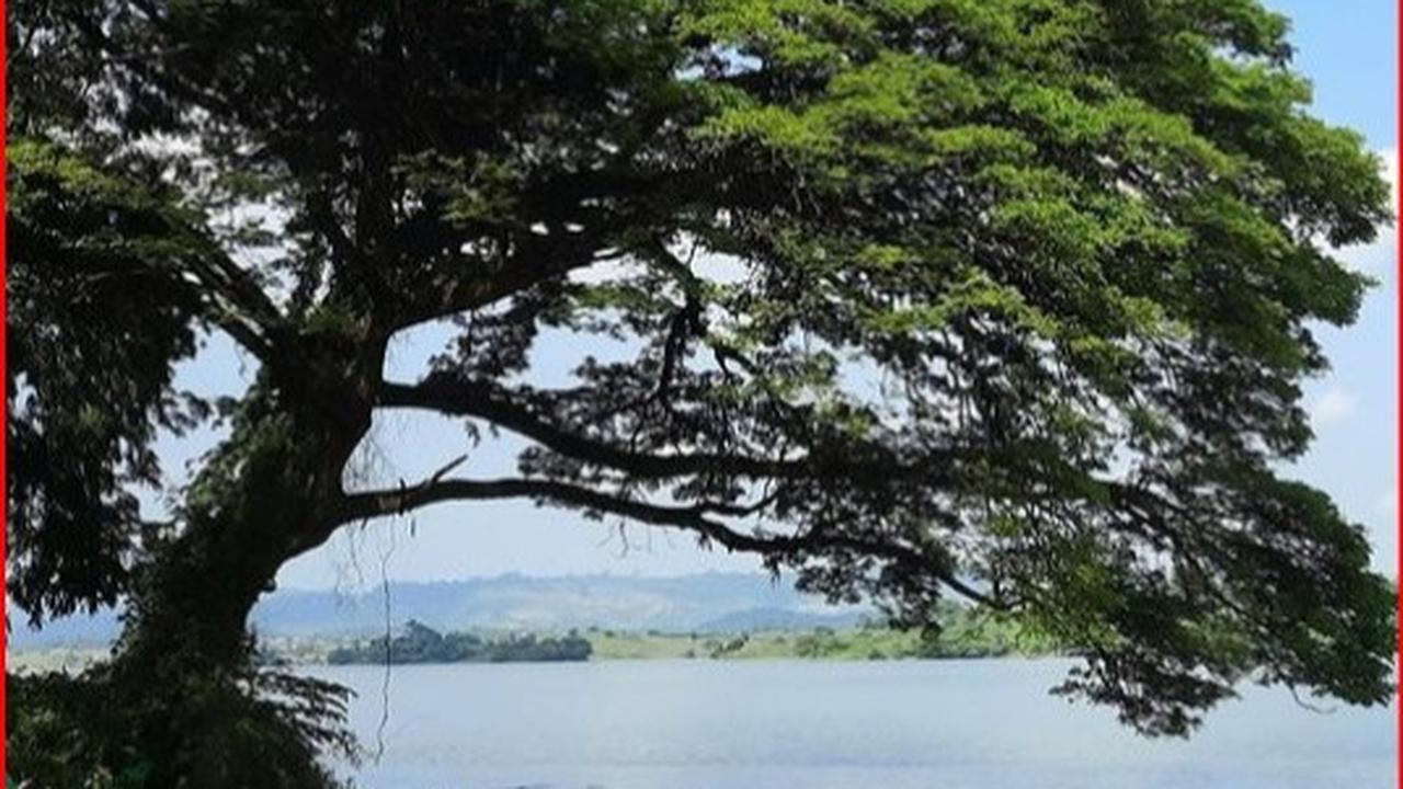 Waduk Pacal