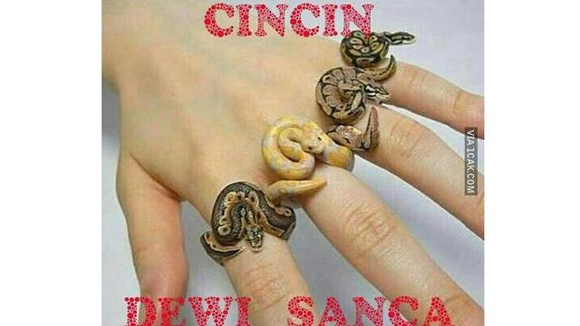 6 Cincin Anti-mainstream Ini Bentuknya Kelewat Unik, Kocak