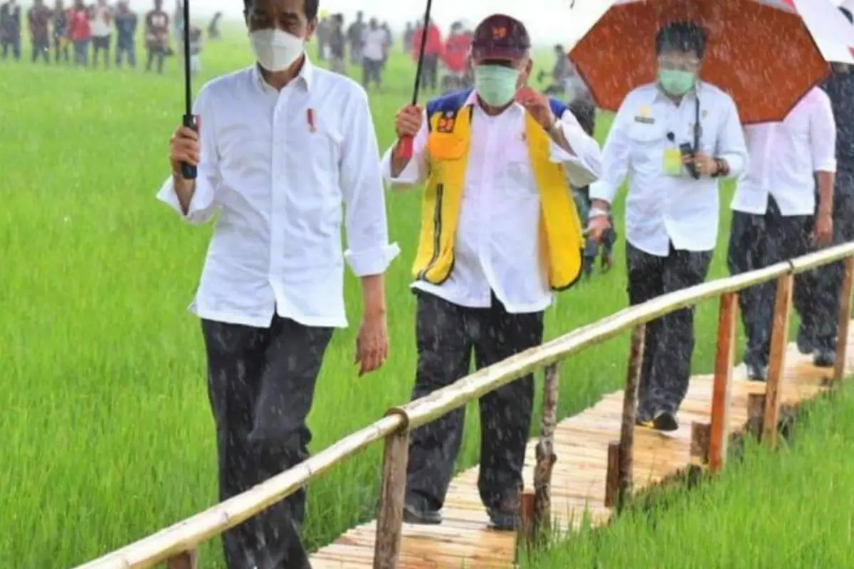 Presiden Joko Widodo bersama rombongan, meninjau lumbung pangan (Food Estate) di Desa Makata Keri, Kecamatan Katiku Tana, Kabupaten Sumba Tengah, NTT. (Foto Istimewah)