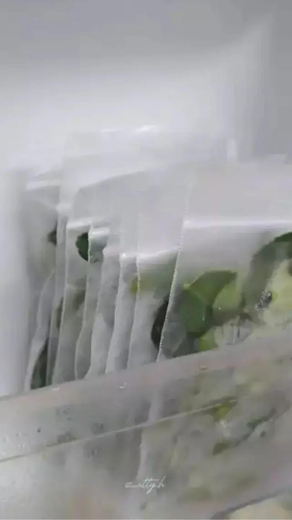 Cara Menyimpan Daun Jeruk Agar Tetap Segar dan Awet Hingga 3 Bulan