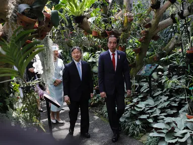 Presiden Joko Widodo (Jokowi) berjalan bersama Kaisar Jepang Naruhito dan Permaisuri Masako saat berkunjung ke Kebun Raya Bogor di Bogor, Indonesia, Senin, 19 Juni 2023. (Willy Kurniawan/Pool Photo via AP)