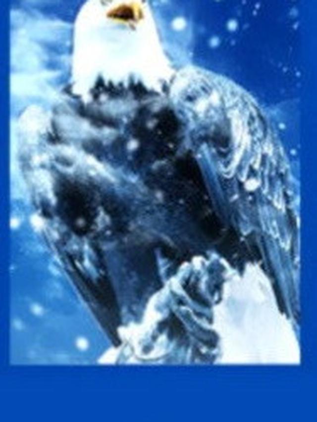 Pilih Salah Satu Gambar Burung Ini Dapat Ungkap Kelebihan dan Kekuranganmu