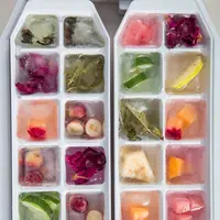 Ilustrasi makanan dibekukan (Photo by Mitra Mohammadi on Unsplash)