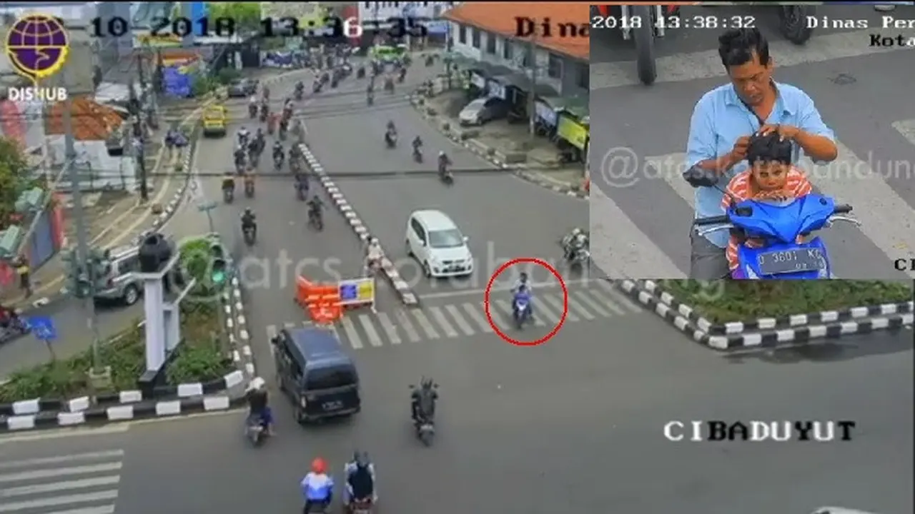Bapak nyari kutu