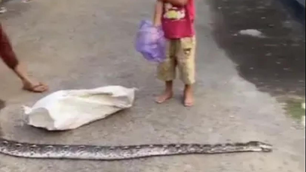 Ditangkap dengan Cara Kurang Pantas