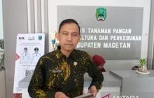 Sudah 60 Persen di September 2025, Serapan Pupuk Subsidi Magetan Capai Target Lebih Awal!