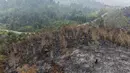 Foto udara ini memperlihatkan lahan yang terdampak kebakaran hutan di Kapuas Hulu, Kalimantan Barat, Jumat, 4 September 2026. (AFP/ Bay Ismoyo)