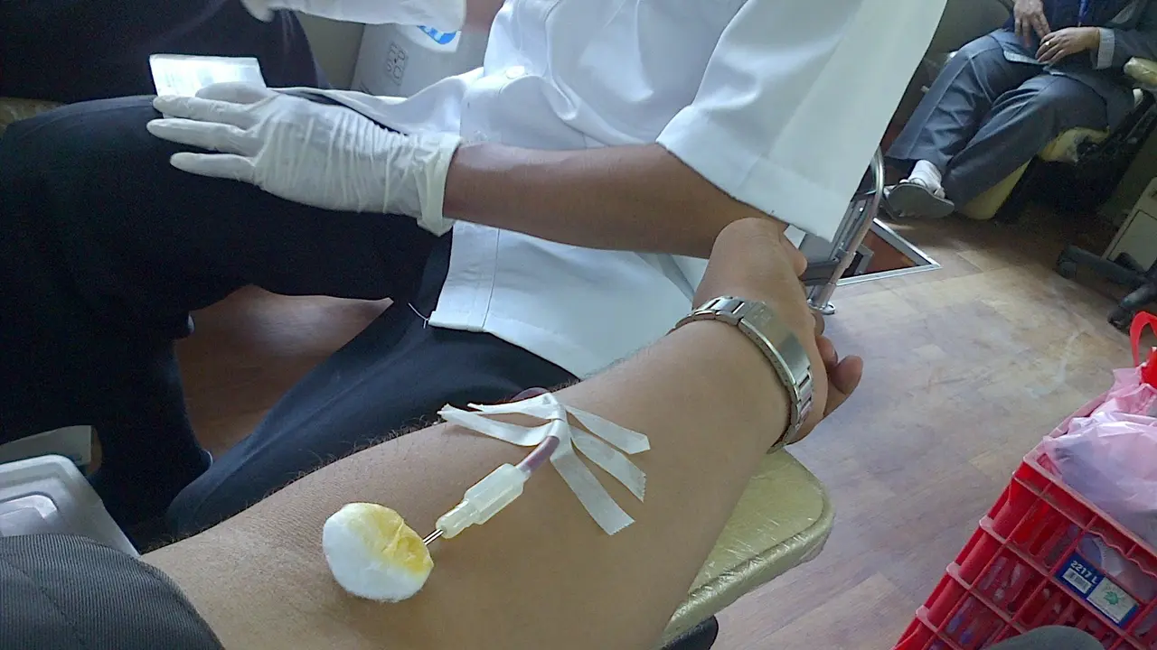 Donor darah
