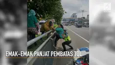 Diturunkan di pinggir tol, emak-emak ini dibantu polisi untuk memanjat pembatas tol yang tinggi.