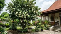 9 Pohon Buah Berbunga Indah yang Akarnya Tidak Merusak Pondasi Rumah