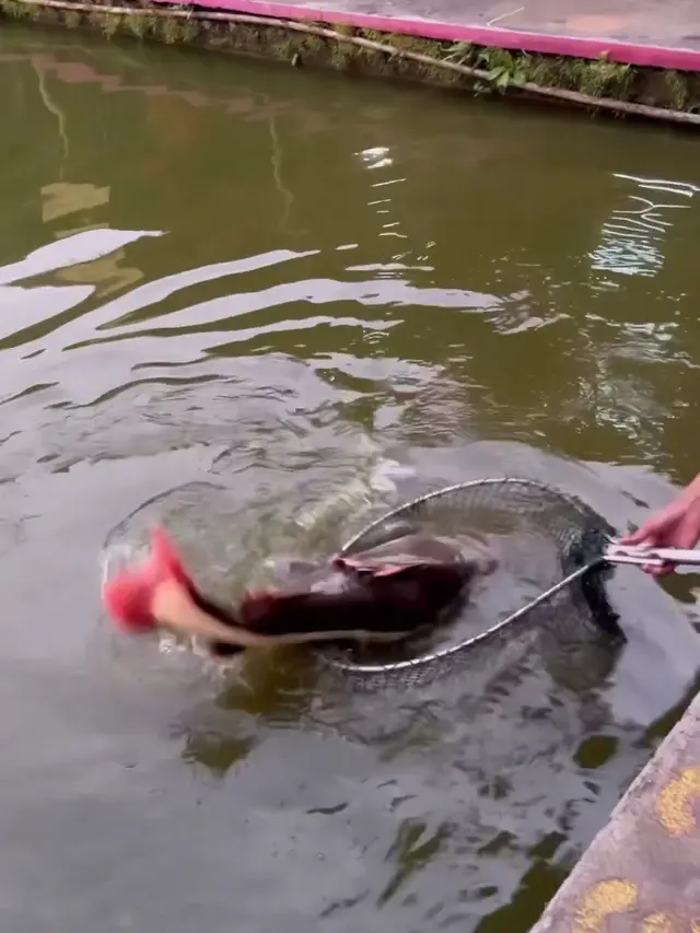 [Fimela] Prilly Latuconsina