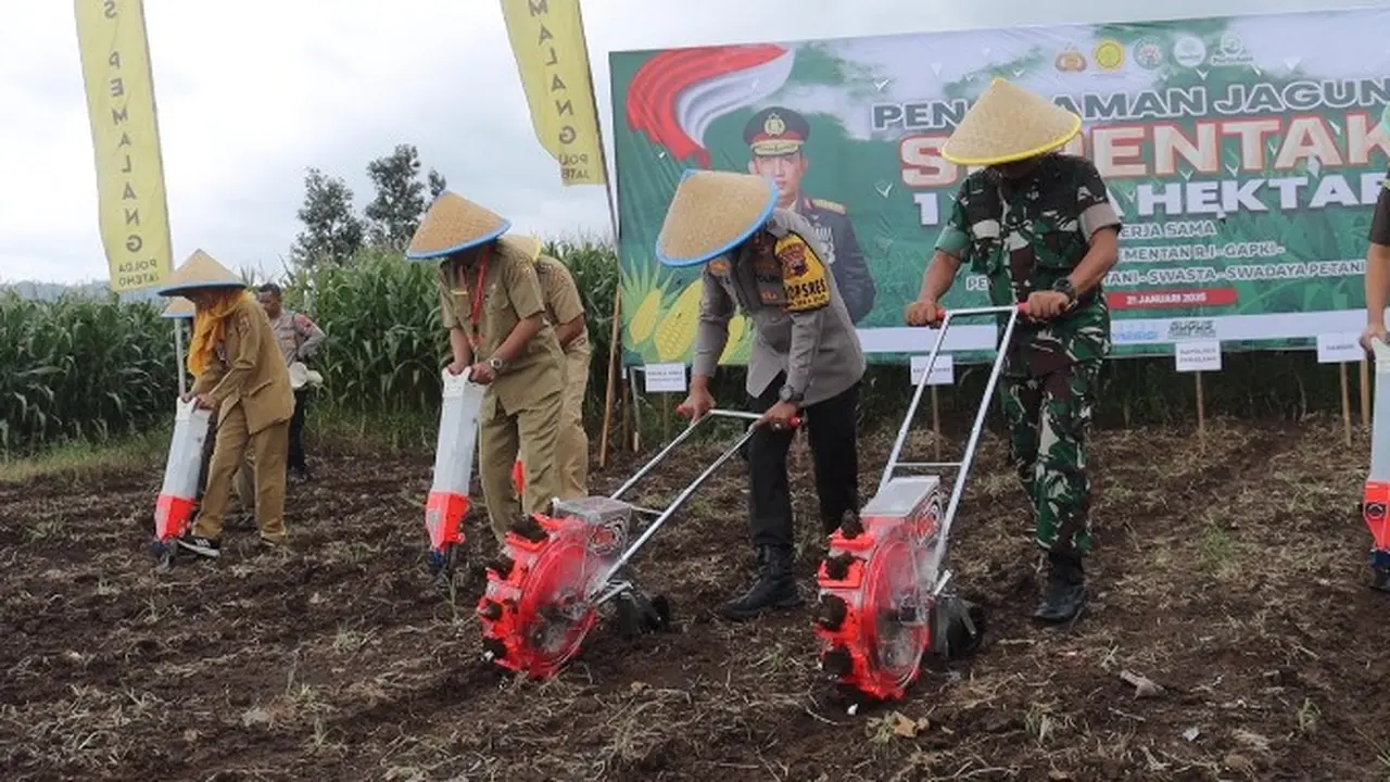 Penanaman jagung dukung swasembada pangan di Pemalang. (Foto: Liputan6.com/Humas Polres Pemalang)