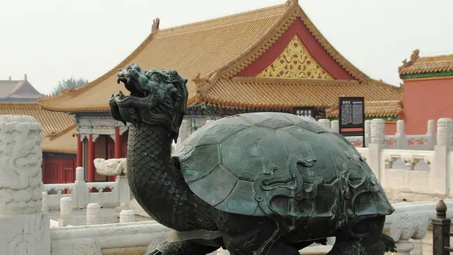 Tortoise