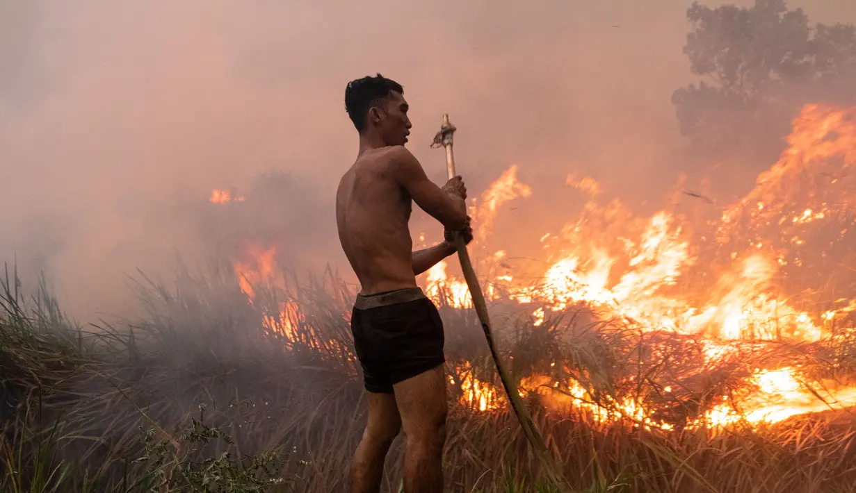 Foto yang diambil pada tanggal 2 Oktober 2023 ini menunjukkan seorang pemilik perkebunan cabai berusaha memadamkan kebakaran lahan gambut untuk melindungi lahan miliknya di Ogan Ilir, Sumatra Selatan. (Al ZULKIFLI / AFP)