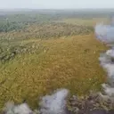 Kebakaran Hutan Way Kambas Meluas, Total 774 Hektare Hangus