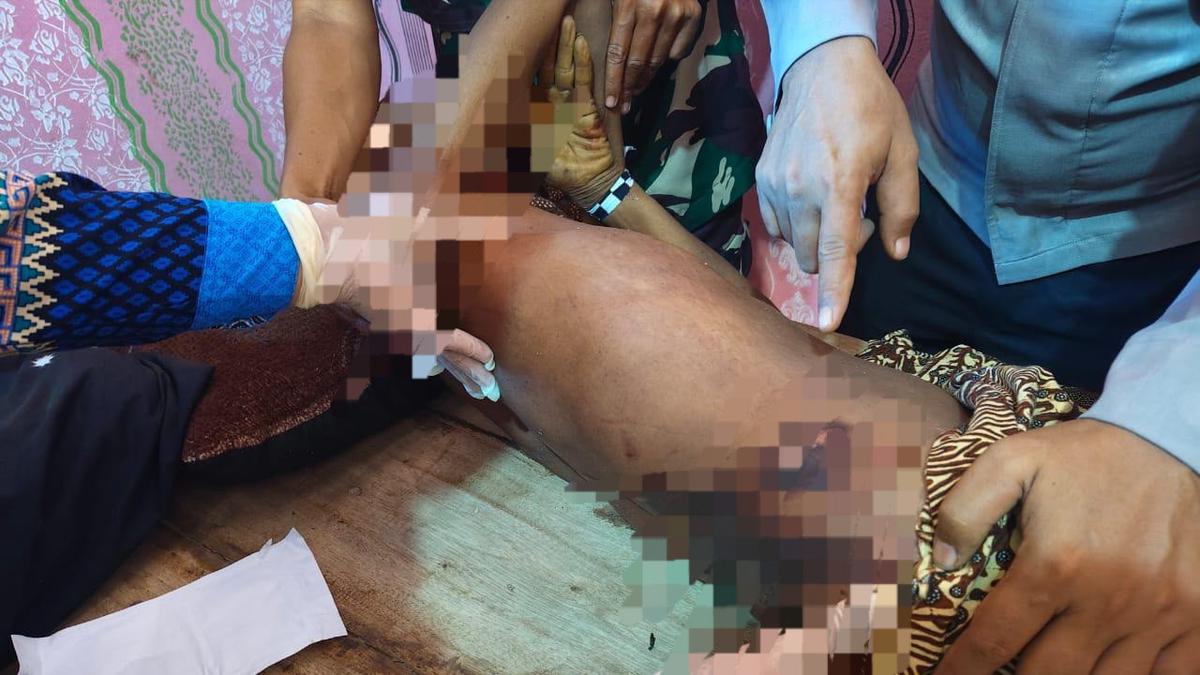 Kronologi Warga Lampung Barat Meninggal Dikepung Gajah