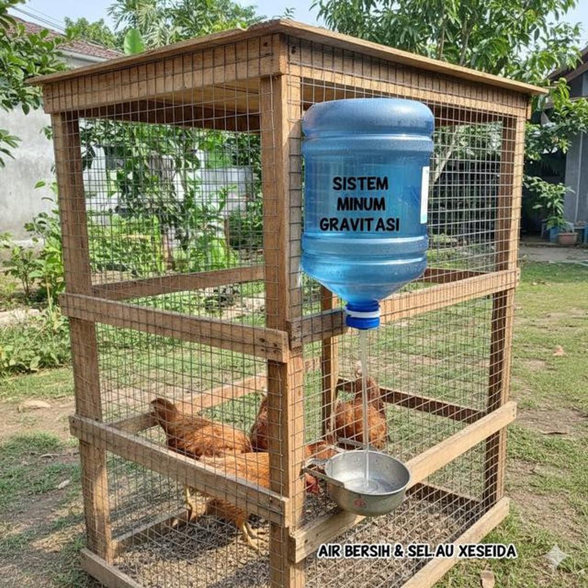 10 Desain Kandang Ayam dari Galon Bekas Sederhana, Ide Kreatif Ternak
