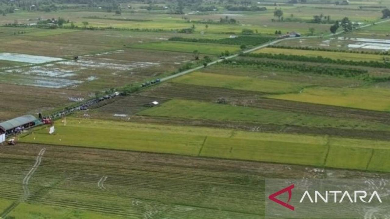 Maluku Perkuat Swasembada Pangan 2026 dengan 196 Unit Irigasi Perpompaan