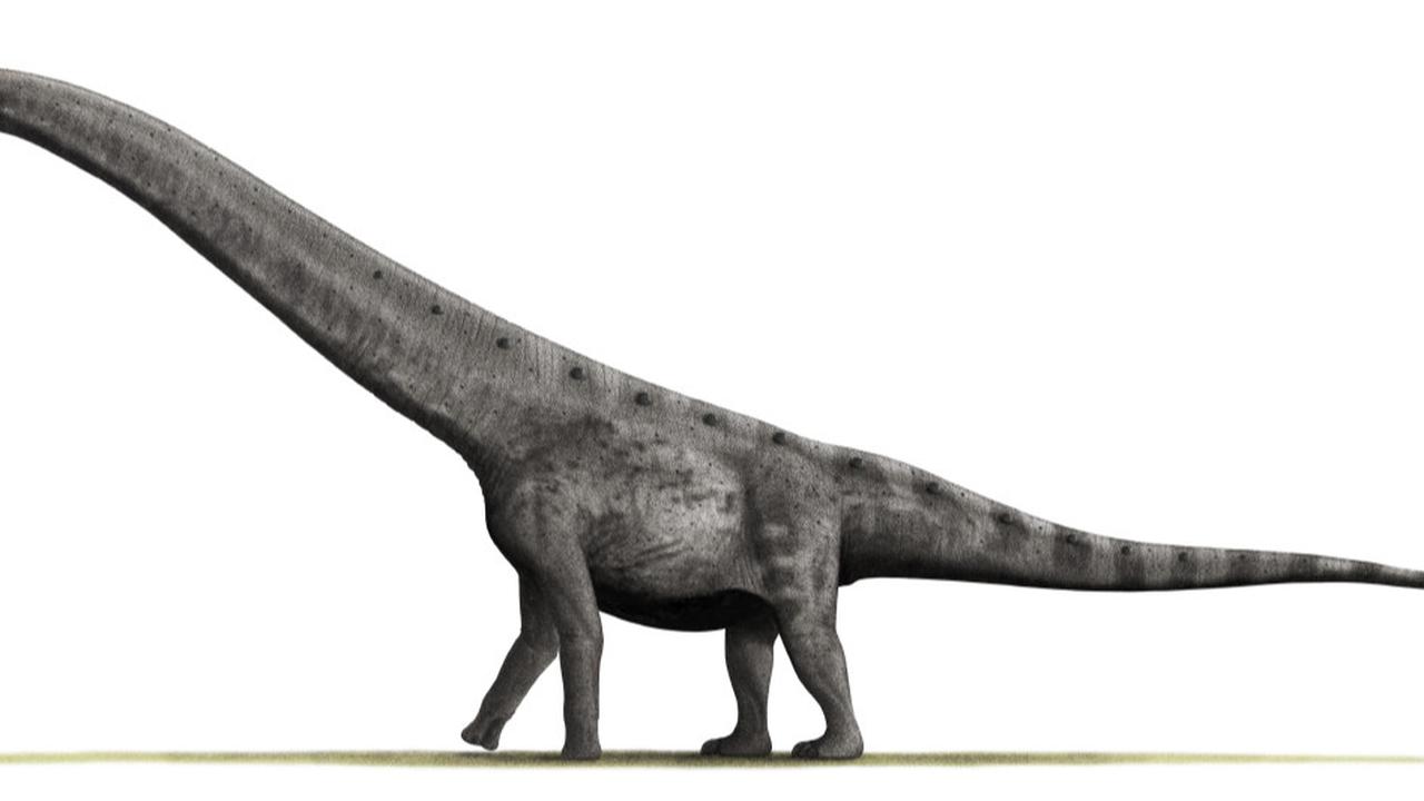8 Titanosaurus Terbesar: Mengungkap Rahasia Raksasa Zaman Kapur