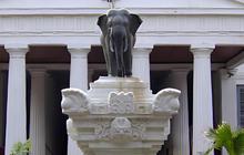 Fakta Menarik Museum Nasional yang Terbakar, Ada Patung Gajah Hadiah dari Raja Thailand