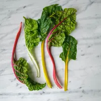 Ilustrasi Sayuran Hijau Credit: unsplash.com/Josoon