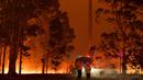 Petugas pemadam kebakaran menyemprot pohon saat berusaha memadamkan api akibat kebakaran hutan di sekitar kota Nowra, negara bagian New South Wales, Australia, Selasa (31/12/2019). (AFP/Saeed Khan)