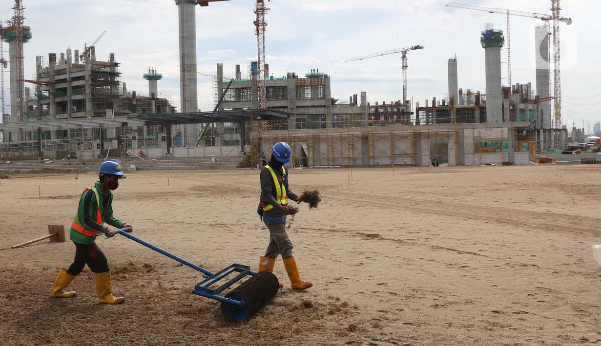 Pekerja melakukan proses perataan tanah dan penebaran benih rumput hybrid di area lapangan latih Jakarta International Stadium, Jumat (23/10/2020). Sebanyak dua lapangan latih JIS mulai dilakukan pemasangan rumput hybrid dan ditarget selesai pada Desember 2020. (Liputan6.com/Helmi Fithriansyah)