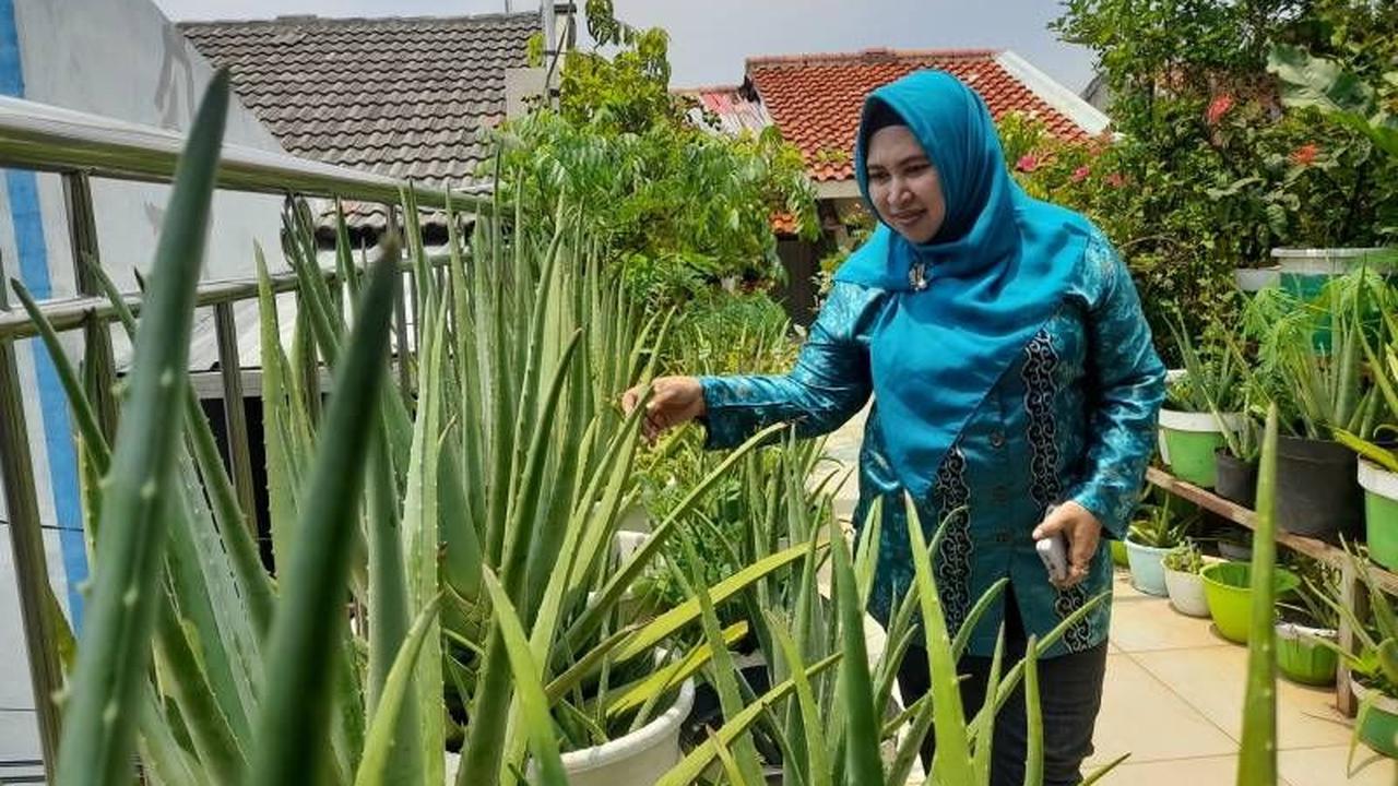 Kebunku Supermarketku