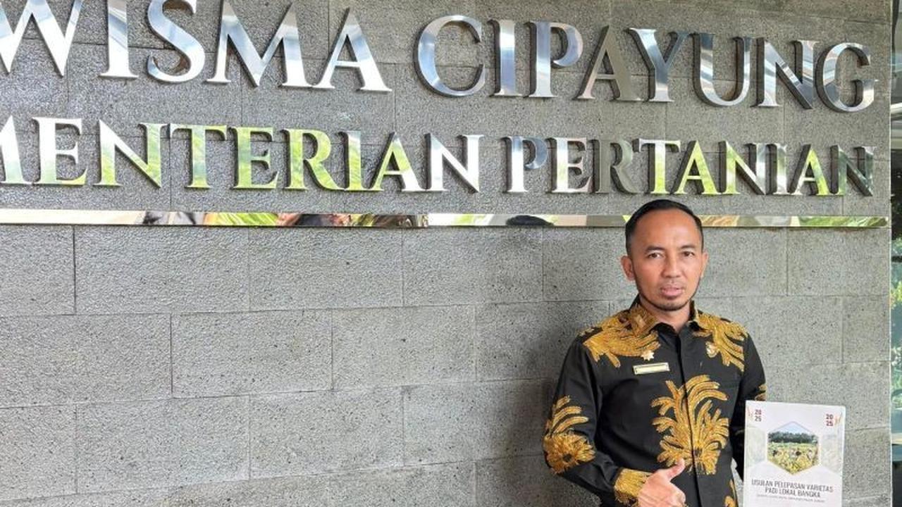 Tiga Varietas Padi Lokal Bangka Resmi Diakui Unggul oleh Kementerian Pertanian