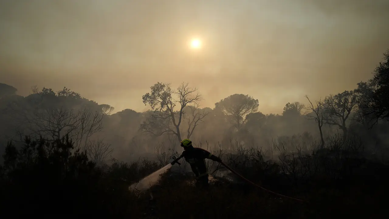 Prancis Dilanda Kebakaran Hutan