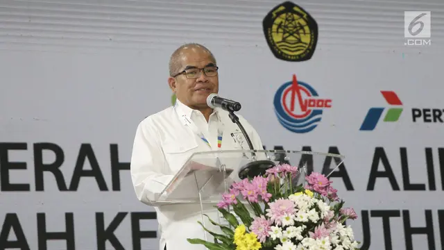 Pertamina Kelola Blok Migas Southeast Sumatera
