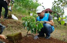 Peringati Hari Pahlawan, PLN Tanam Pohon di Berbagai Wilayah Jatim untuk Lingkungan Berkelanjutan