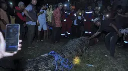 Warga membebaskan seekor buaya dari ban yang tersangkut pada lehernya selama sekitar lima tahun sebelum dilepaskan ke sungai di Palu, Sulawesi Tengah, 7 Februari 2022. Pelepasan buaya dilakukan oleh petugas BKSDA Sulteng, Damkar Kota Palu, serta warga sekitar. (MUHAMMAD RIFKI/AFP)