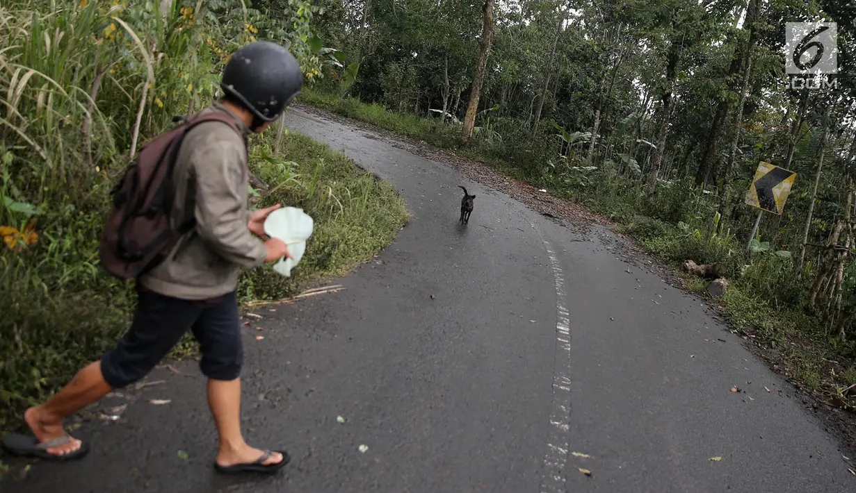 Relawan Bali Rumah Singgah Satwa memberi makan anjing yang ditinggalkan pengungsi di Dusun Sogra, Desa Sebudi, Karangasem, Bali, Minggu (3/12). Setiap hari, para relawan ini berkeliling untuk membagikan makanan bagi hewan.(Liputan6.com/Immanuel Antonius)