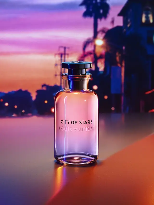 Louis Vuitton City of Stars