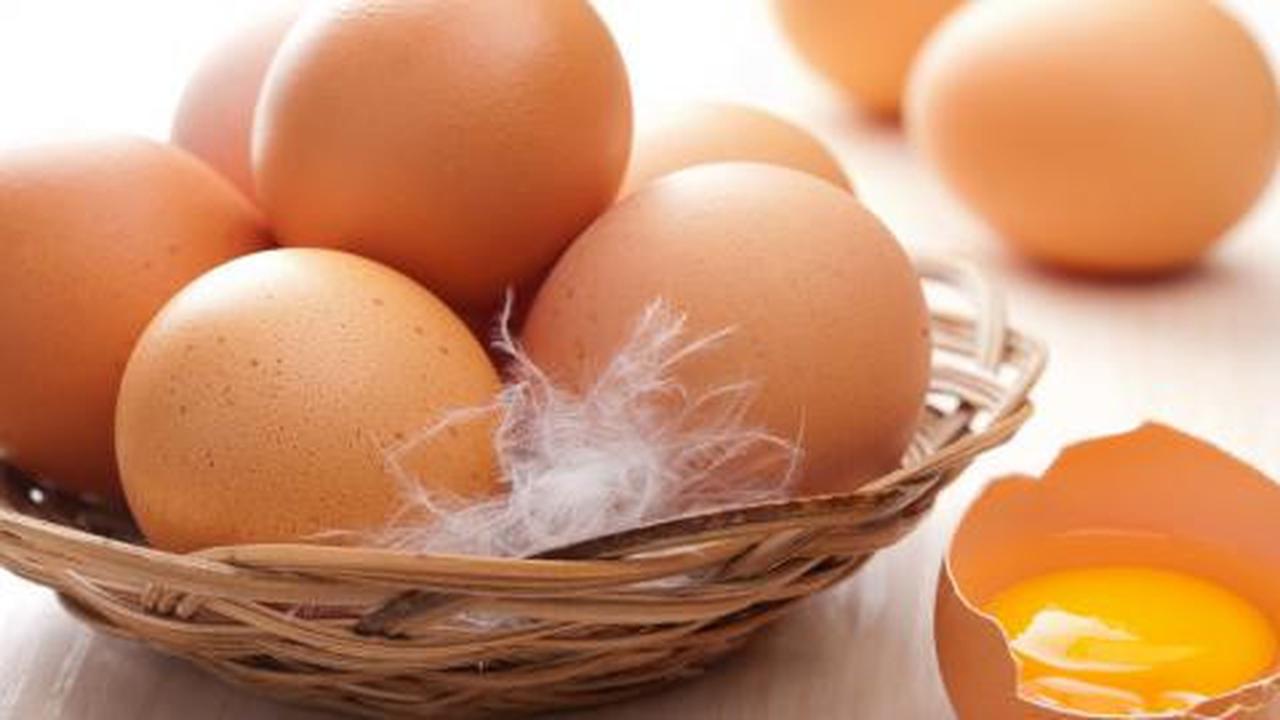 15 Makanan bergizi yang dibutuhkan anak