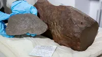 Penampakan meteorit lebih tua dari Tata Surya (Sumber: Museum Melbourne)