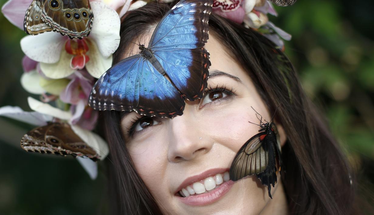 Cantiknya Kupu  Kupu  di Butterflies Glasshouse Foto 