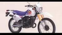 Suzuki TS 125 ER (Classic-motorbikes.net)