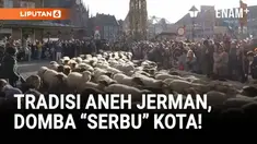 Ratusan pejalan kaki di kota Nuremberg, Jerman, harus memberi jalan bagi sekitar 600 ekor domba yang digiring melintasi pusat kota pada Minggu 16/11).