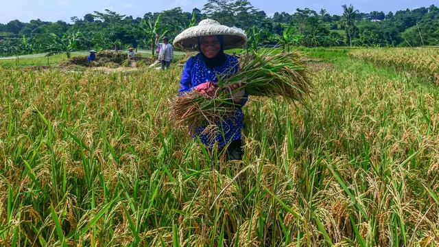 Awal April 2026, Serapan Beras Bulog Tembus 1,7 Juta Ton