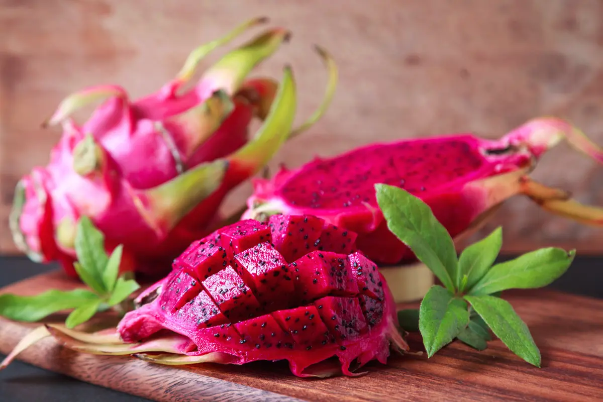 ilustrasi manfaat buah naga/Myrosha/shutterstock