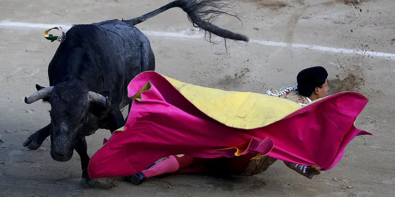 20151230-Aksi-Matador-Melawan-Banteng-Spanyol-Reuters