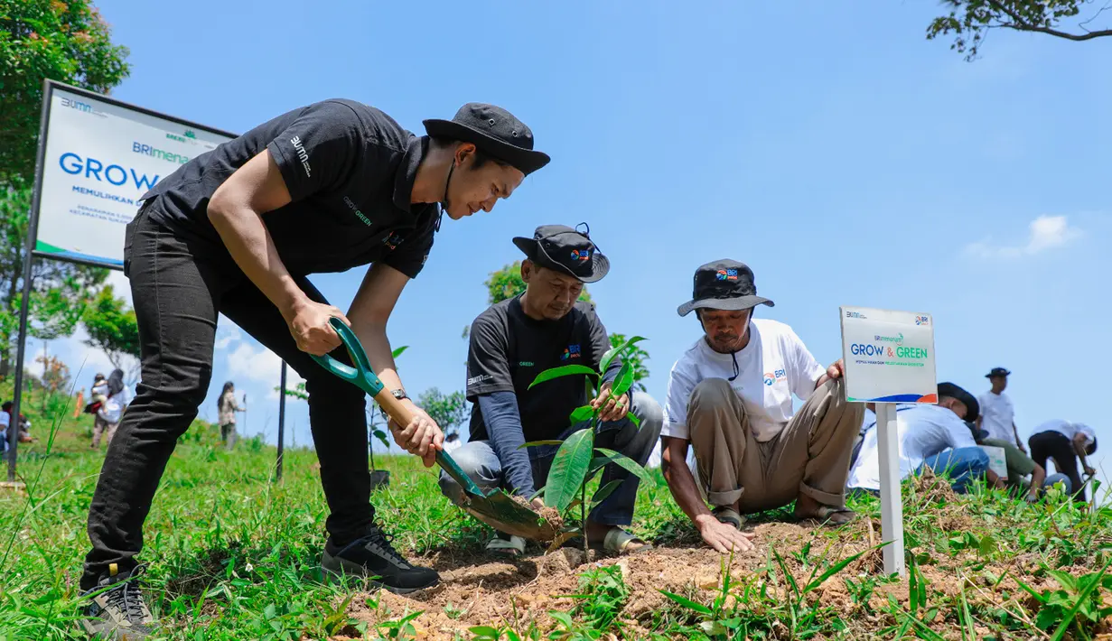 Perjuangan menjaga alam menjadi jalan berat dipilih Rasman dan anggota Kelompok Tani Hutan (KTH) Pabangbon di Desa Malasari, Kecamatan Nanggung, Kabupaten Bogor. Mereka tersadar ketika lahan yang memberinya kehidupan, terus mengalami kerusakan. Rusaknya sebagian lahan perhutahan diakibatkan adanya aktivitas tambang warga. Secara terbuka, Rasman mengakui bahwa dulu dirinya merupakan bagian dari perusak alam melalui aktivitas pertambangan di hutan. Kesadaran itu kemudian membuatnya berhenti dan berganti mata pencaharian sebagai petani. Niat dibangun Rasman sederhana. Dia hanya ingin mengobati hutan yang selama ini telah dirusaknya. (Foto: Dokumentasi BRI)