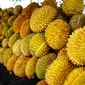Festival Durian Sinapeul 2017 yang digagas oleh Pemerintah Kecamatan Sindangwangi, Kabupaten Majalengka, Jawa Barat. Bukan hanya Durian, pesona Majalengka juga akan tersaji di acara yang dijamin seru ini.
