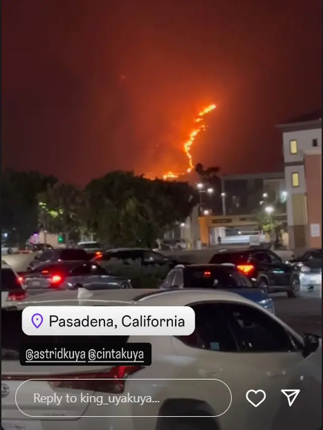 6 Potret Kebakaran di Los Angeles yang Dibagikan Keluarga Kuya, Api Cepat Menyebar