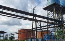 Kemendag: Harga Referensi CPO Melonjak, Dipicu Permintaan India dan China