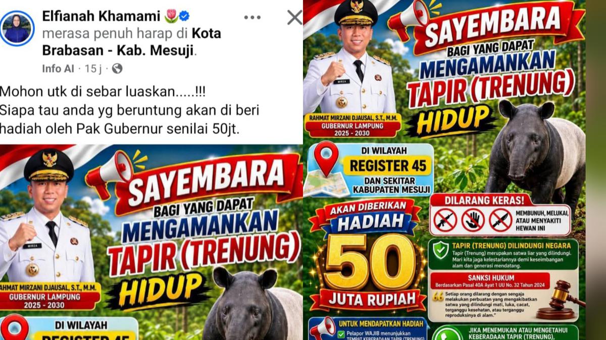 Sayembara Tangkap Tapir Hidup, Hadiah Rp 50 Juta