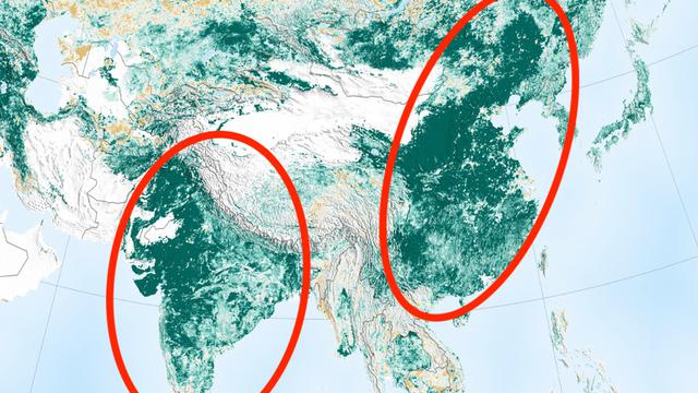 Bintangbola - Temuan Terbaru NASA: Bumi Kini Lebih Hijau Dibanding 20 Tahun Lalu