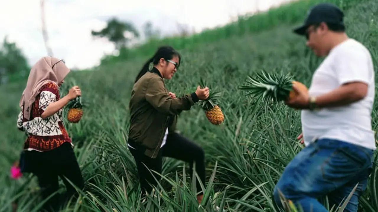 Mau Liburan Seru? Wajib Jalan-jalan ke Onan Runggu 1 di Sipahutar